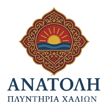 anatolicarpetcleaning.gr